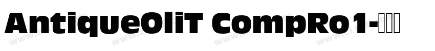 AntiqueOliT CompRo1字体转换
